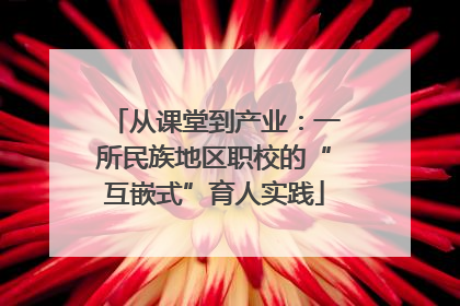 从课堂到产业：一所民族地区职校的“互嵌式”育人实践